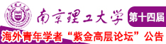 爆操乳插片8666南京理工大学第十四届海外青年学者紫金论坛诚邀海内外英才！